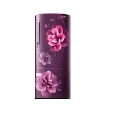 Samsung 230 L Single Door Refrigerator RR24A272ZCR/IM